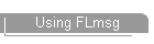 Using FLmsg